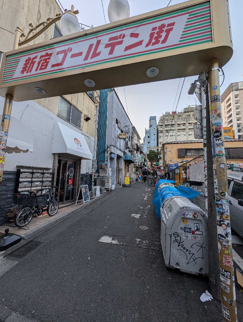 ドナウ川の漣さんの新宿天然温泉 テルマー湯のサ活写真