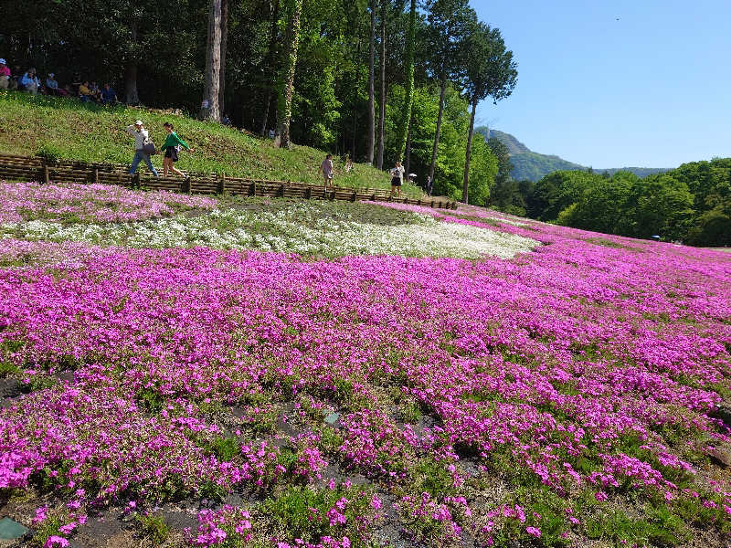 いのっちさんの天然自家源泉 星音の湯のサ活写真