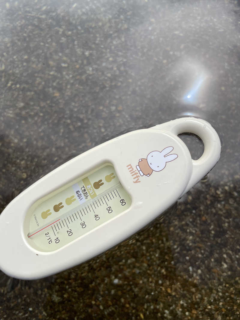 オロポ好き過ぎ🎵さんのLAKE SIDE HOTEL MINATOYA  (MINATOYA SAUNA)のサ活写真
