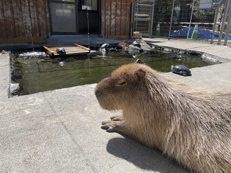 オロポ好き過ぎ🎵さんのおおがわら天然温泉 いい湯のサ活写真
