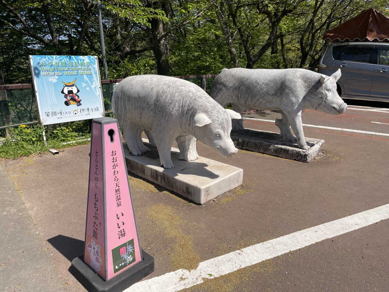 オロポ好き過ぎ🎵さんのおおがわら天然温泉 いい湯のサ活写真