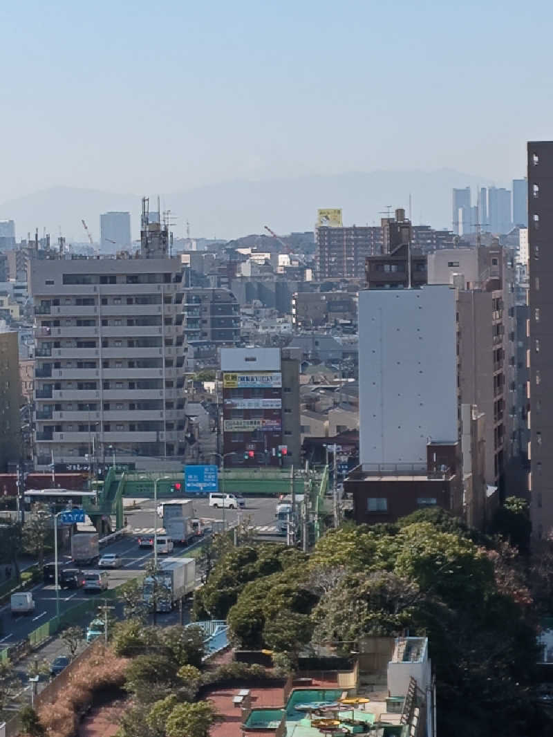 rinrin_tomoさんの天然温泉 平和島のサ活写真