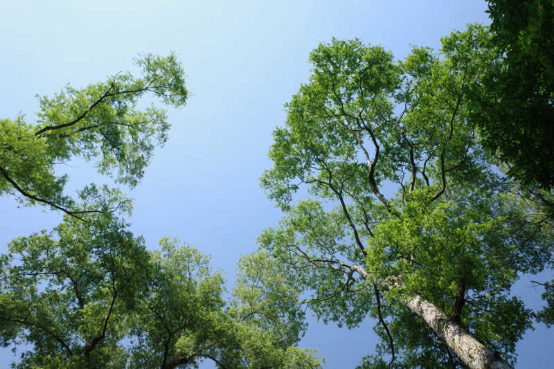 FさんのThe Saunaのサ活写真