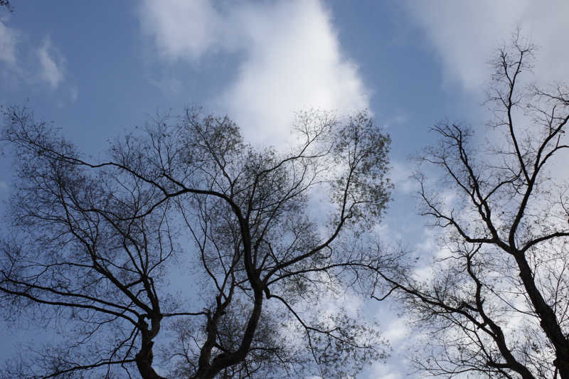 FさんのThe Saunaのサ活写真