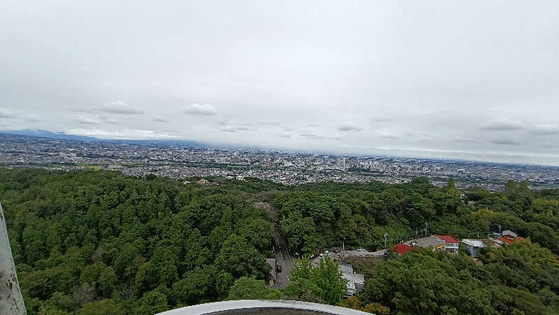 れもん水さんの観音山サウナ蒸寺のサ活写真