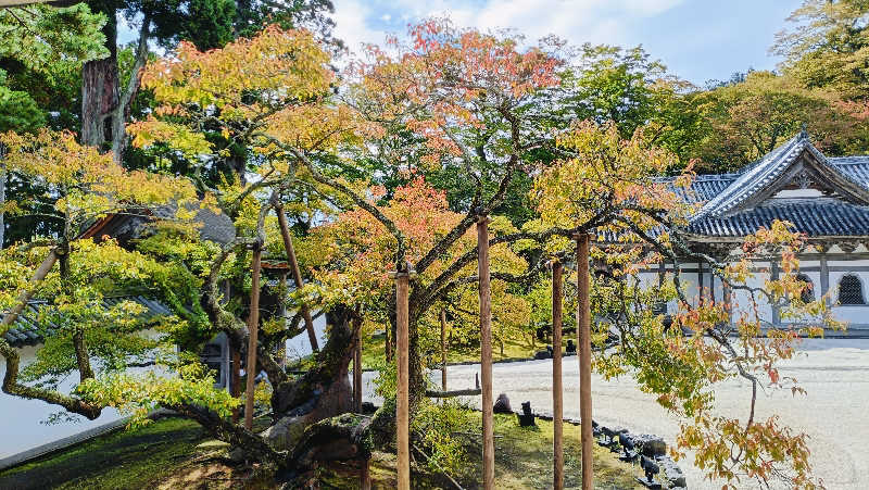 れもん水さんのスパメッツァ 仙台 竜泉寺の湯のサ活写真