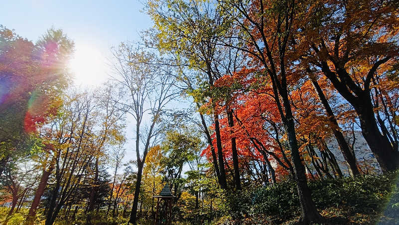 れもん水さんの森のスパリゾート 北海道ホテルのサ活写真