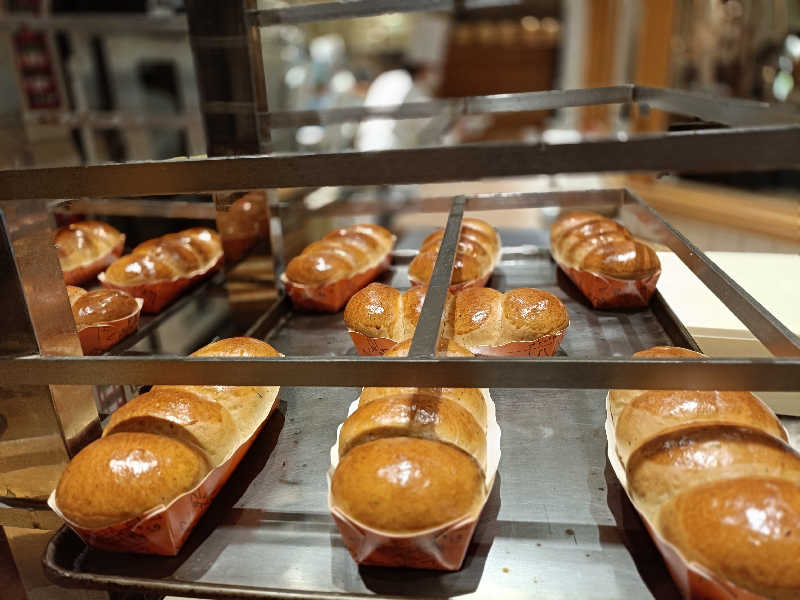 れもん水さんの森のスパリゾート 北海道ホテルのサ活写真