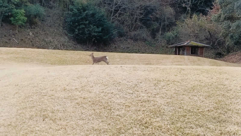 れもん水さんのグランドサウナ心斎橋のサ活写真