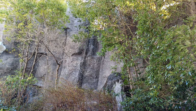 れもん水さんの虹の湯大阪狭山店のサ活写真