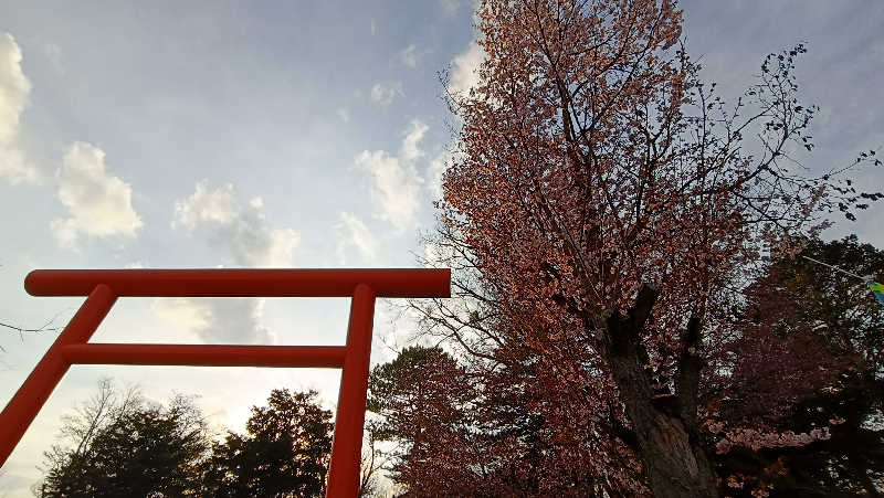 れもん水さんの吹上温泉保養センター 白銀荘のサ活写真