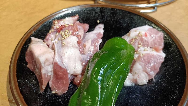 れもん水さんの吹上温泉保養センター 白銀荘のサ活写真