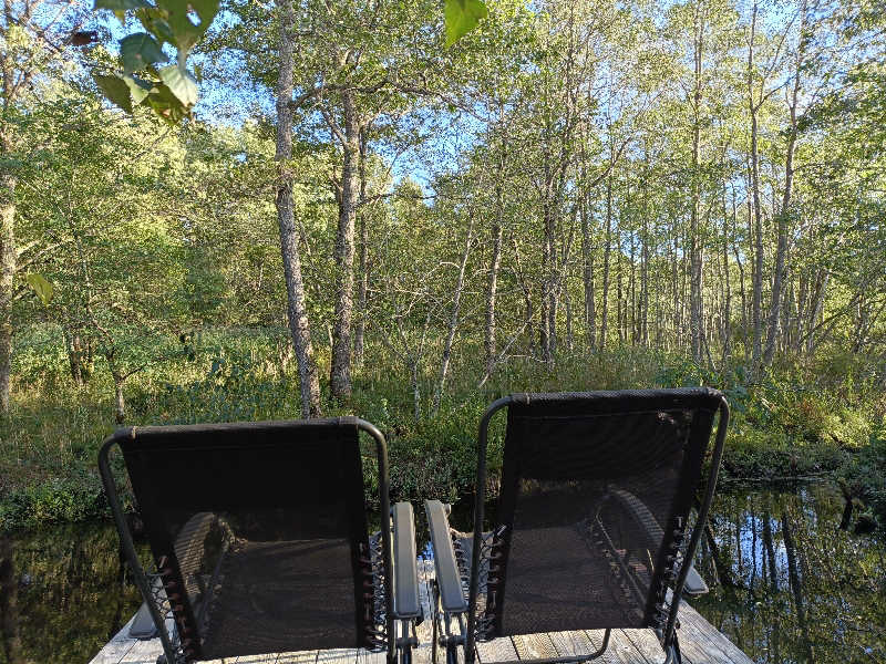 れもん水さんのKIELO SAUNAのサ活写真