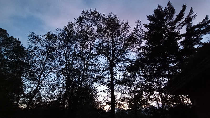 れもん水さんのKIELO SAUNAのサ活写真