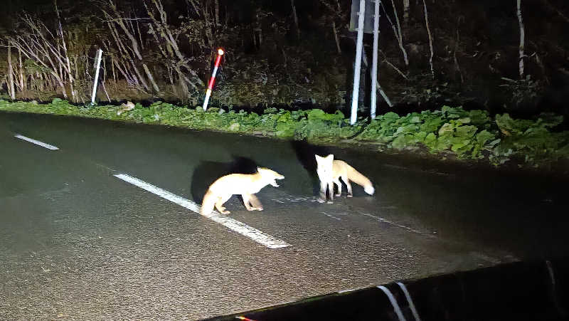 れもん水さんの吹上温泉保養センター 白銀荘のサ活写真