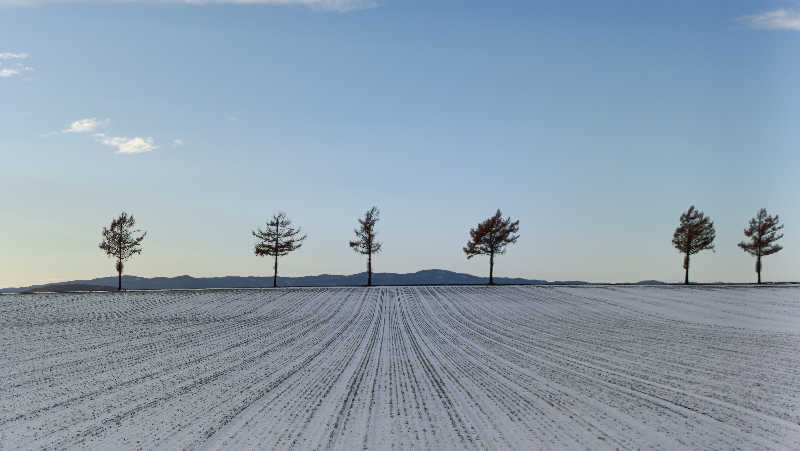 れもん水さんの湯元ホテル山水 美肌の湯のサ活写真