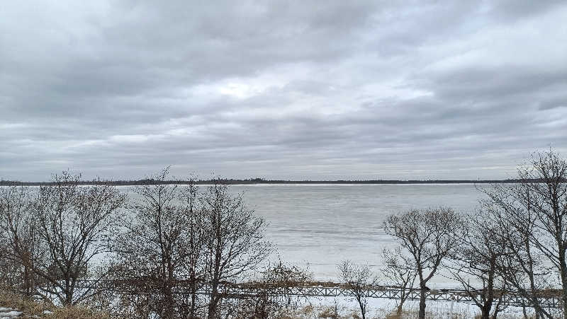 れもん水さんの準天然温泉 みなと湯のサ活写真
