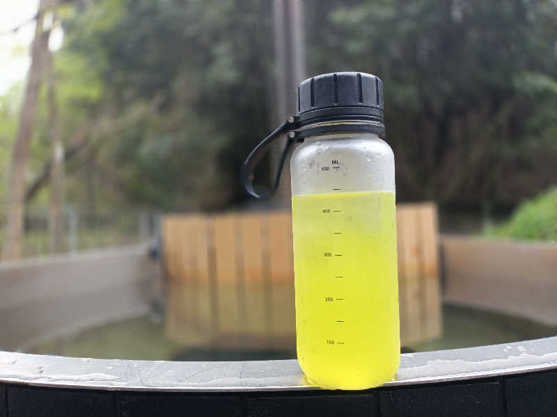 れもん水さんのOND SAUNAのサ活写真