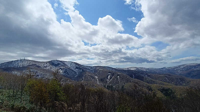 れもん水さんのSAUNA Otaru archのサ活写真