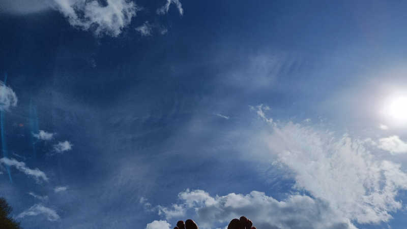 れもん水さんのSAUNA Otaru archのサ活写真