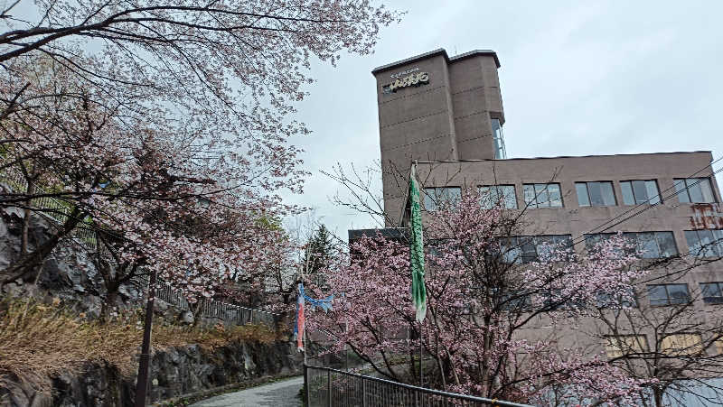 れもん水さんの定山渓万世閣ホテルミリオーネのサ活写真