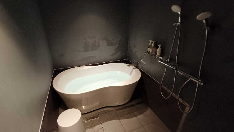 れもん水さんのSAUNA Pod 槃のサ活写真
