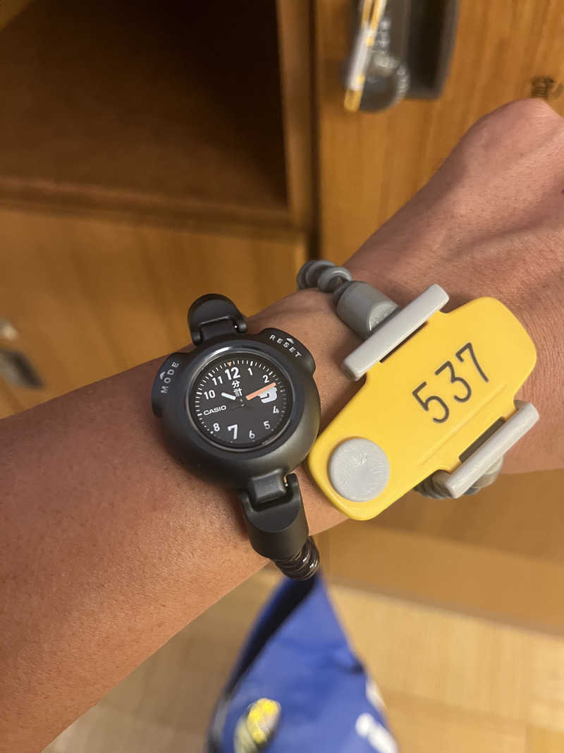 サウナクションさんの源泉掛け流し しあわせの湯のサ活写真