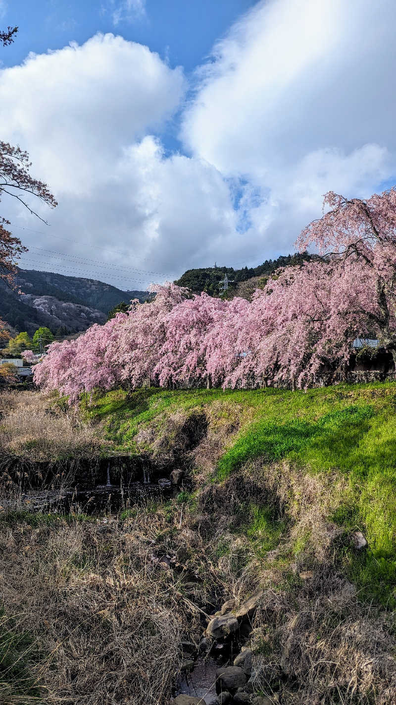 amami〜noさんの天山湯治郷 ひがな湯治 天山のサ活写真