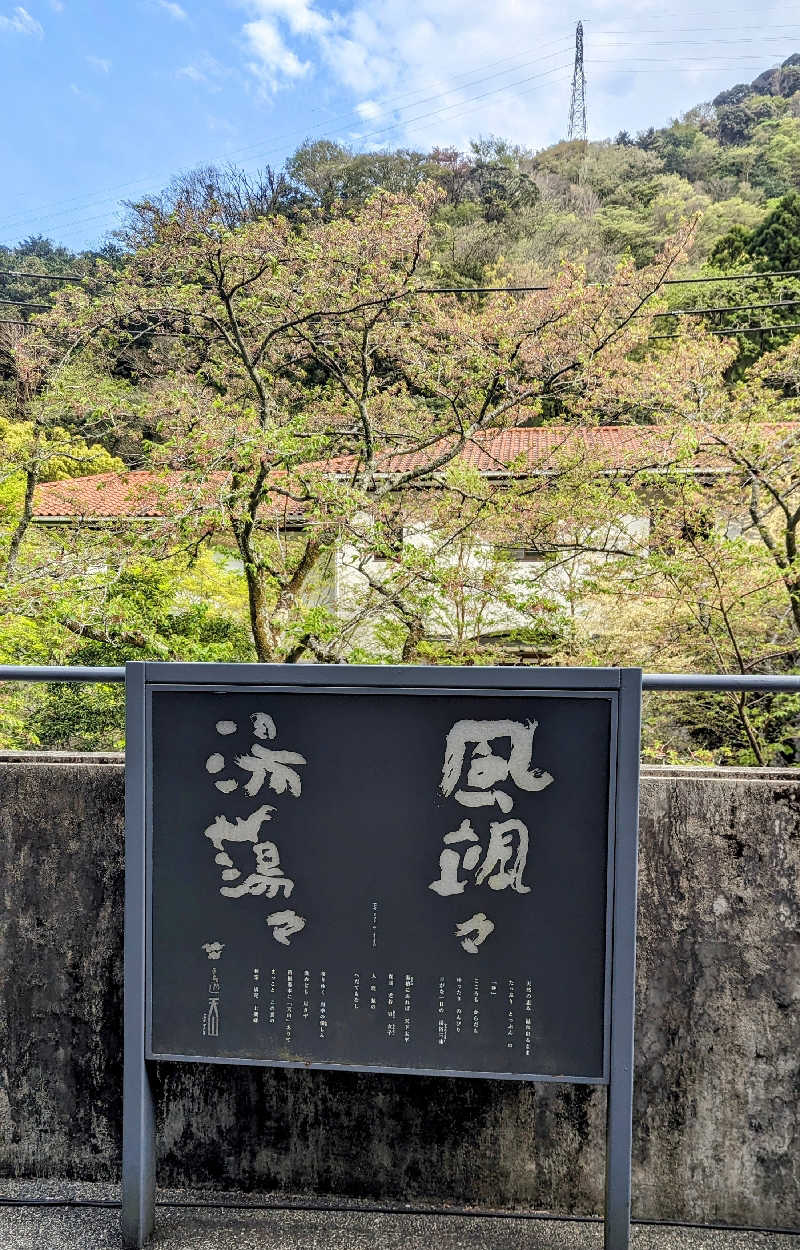 amami〜noさんの天山湯治郷 ひがな湯治 天山のサ活写真