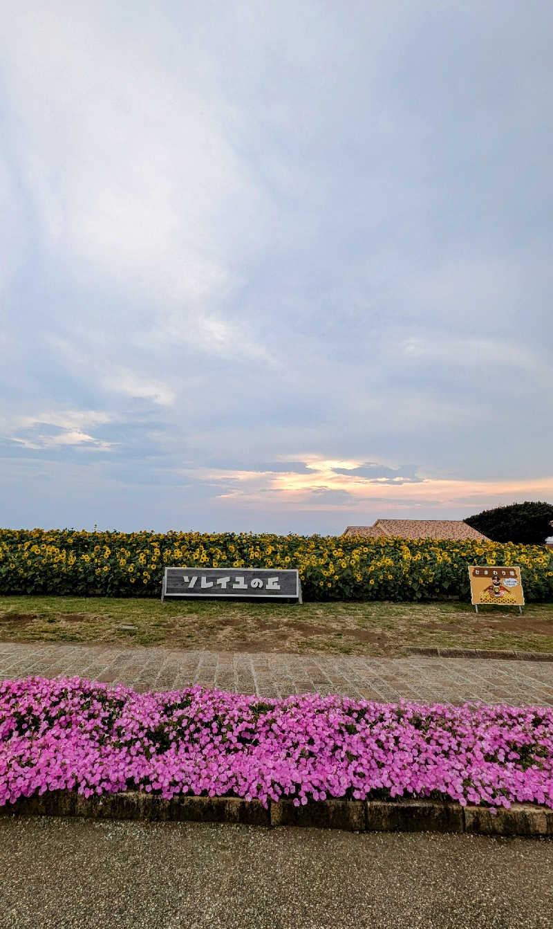 amami〜noさんの海と夕日の湯のサ活写真