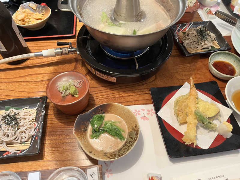 みちさんの飛騨高山 自家源泉の湯 臥龍の郷のサ活写真