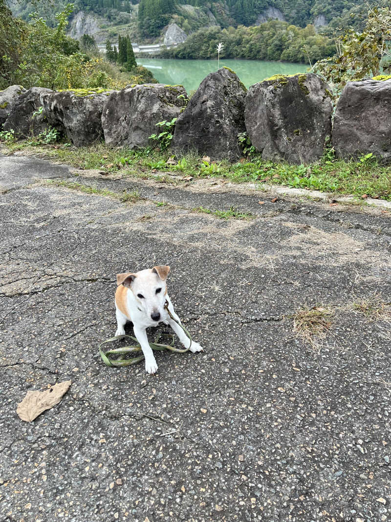 みちさんの平ふれあい温泉センター ゆ〜楽のサ活写真