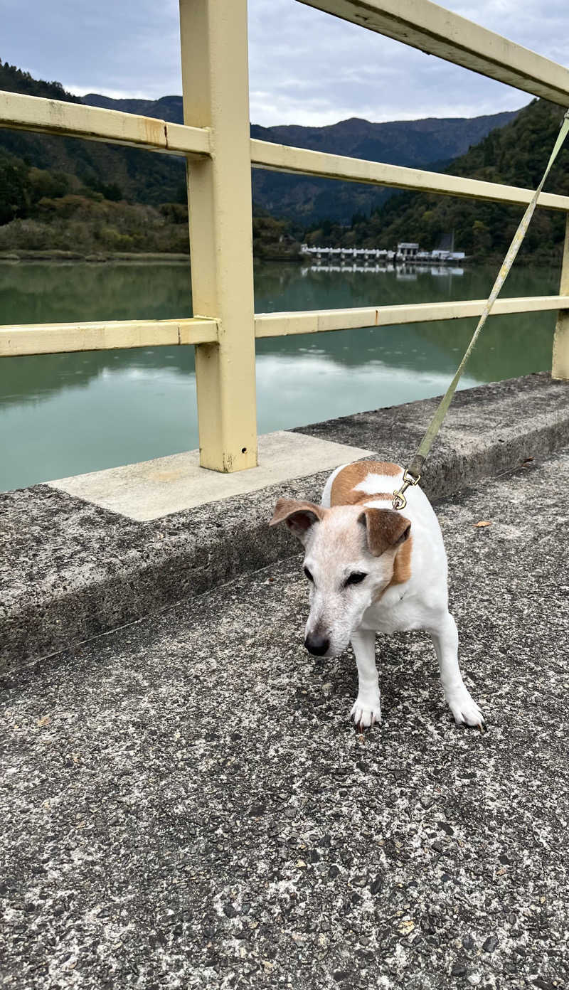 みちさんのくろば温泉のサ活写真