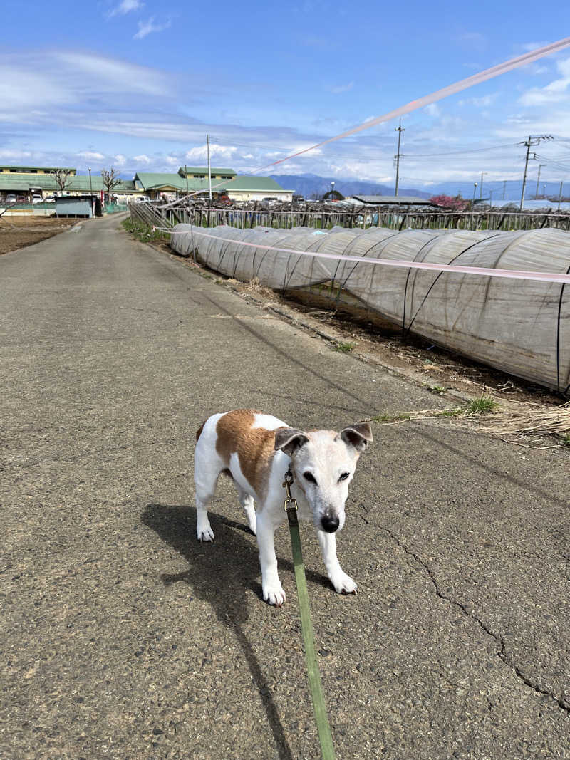みちさんのみはらしの丘 みたまの湯のサ活写真