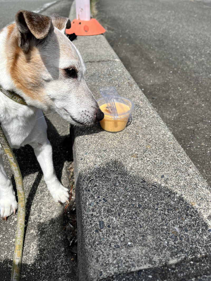 みちさんのみはらしの丘 みたまの湯のサ活写真