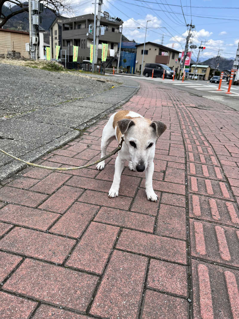 みちさんの山梨泊まれる温泉 より道の湯のサ活写真
