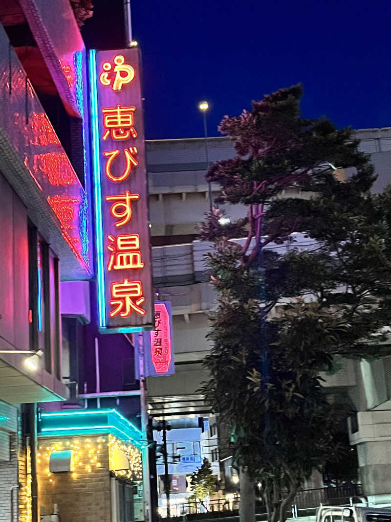 みちさんの恵びす温泉のサ活写真