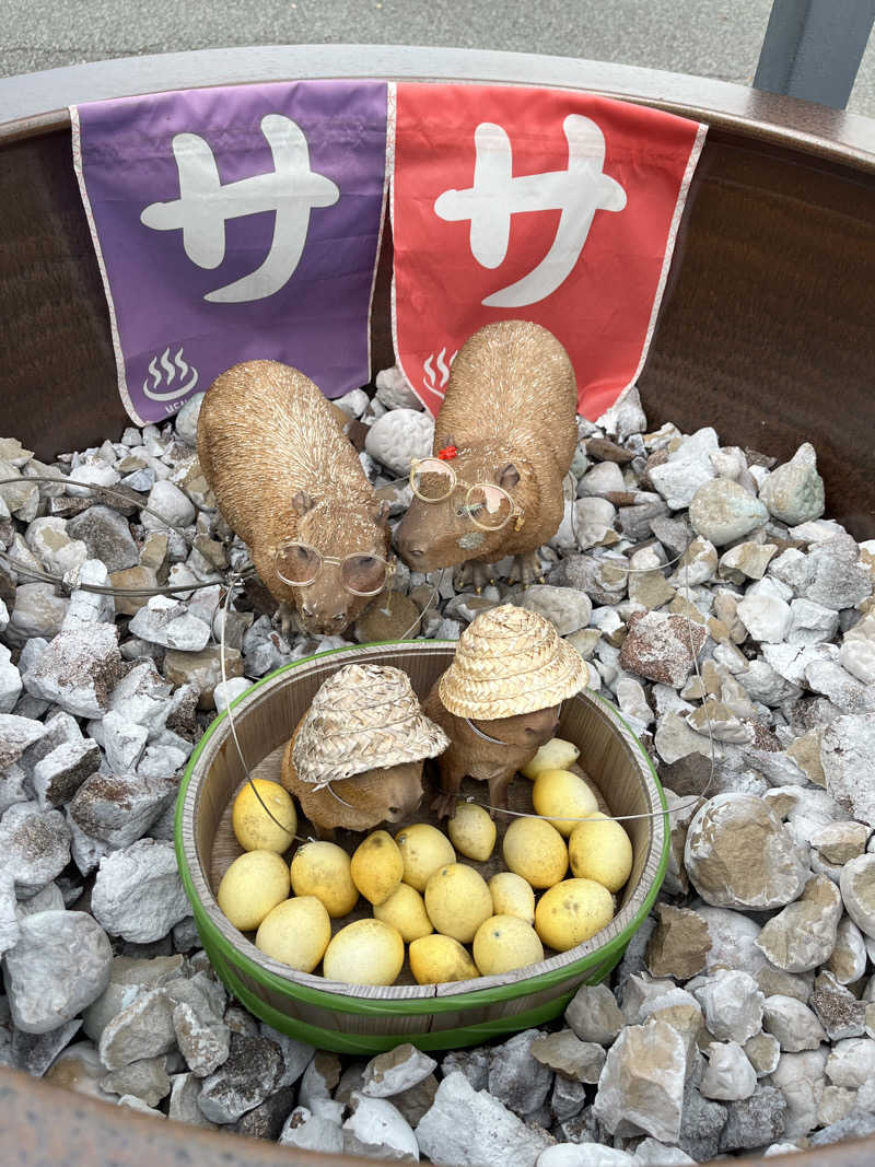 みちさんの富士山天然水SPA サウナ鷹の湯のサ活写真