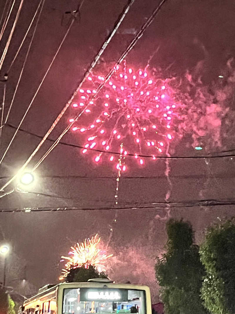 みちさんの大蔵湯のサ活写真