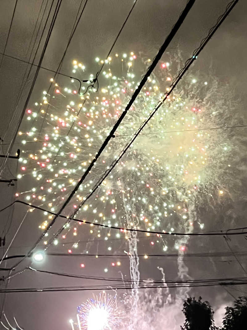 みちさんの大蔵湯のサ活写真