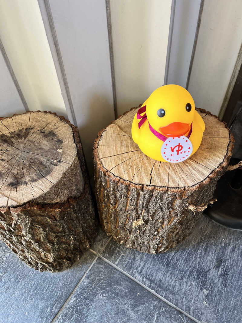 みちさんのOYUGIWA海老名のサ活写真