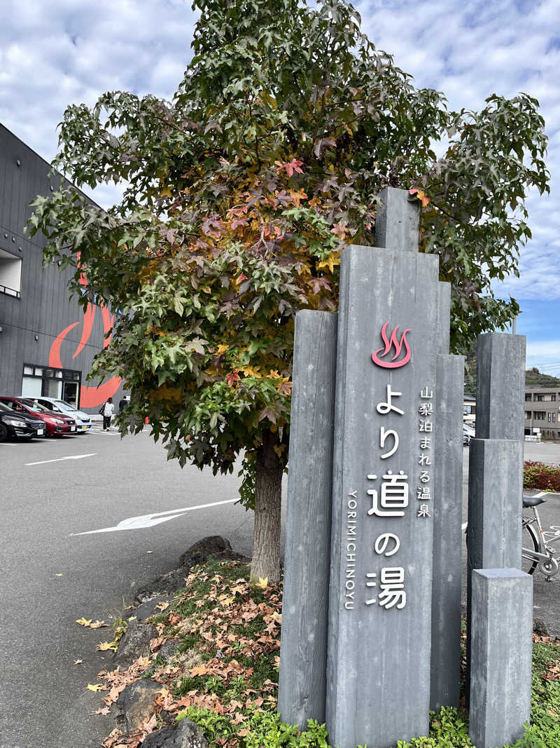みちさんの山梨泊まれる温泉 より道の湯のサ活写真