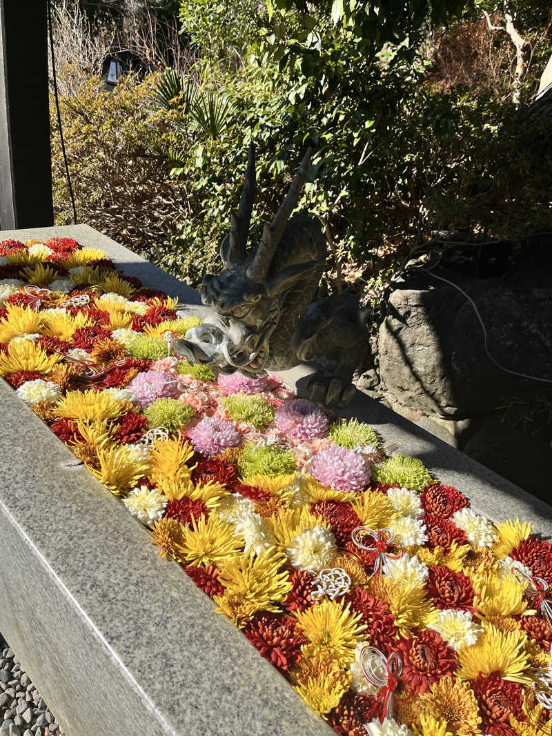 みちさんのよみうりランド眺望温泉 花景の湯のサ活写真