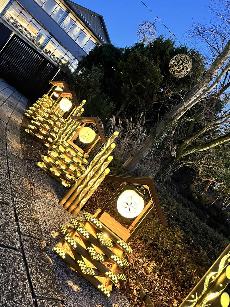 みちさんのよみうりランド眺望温泉 花景の湯のサ活写真