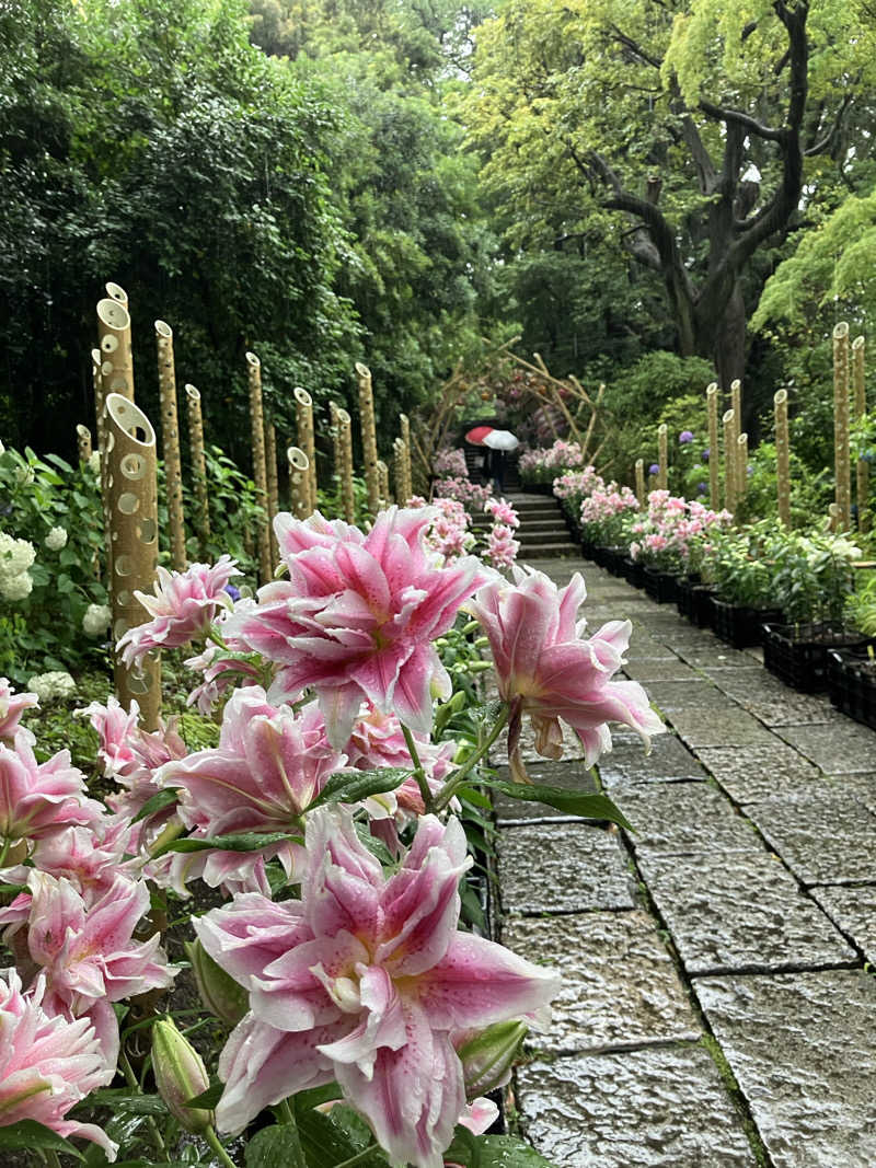 erikoさんのよみうりランド眺望温泉 花景の湯のサ活写真