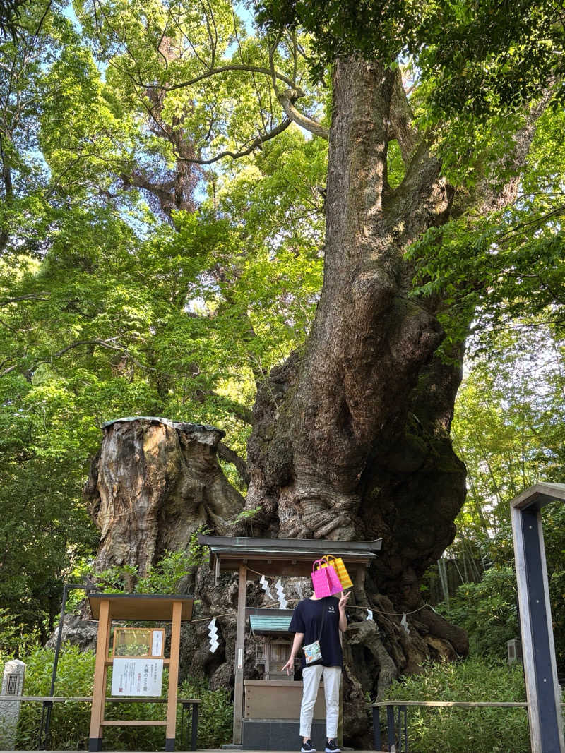 erikoさんのラビスタ熱海テラスのサ活写真