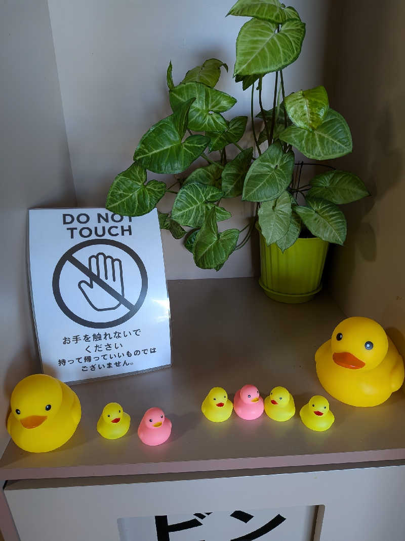 akkoさんのほっとプラザ 杉の子温泉のサ活写真