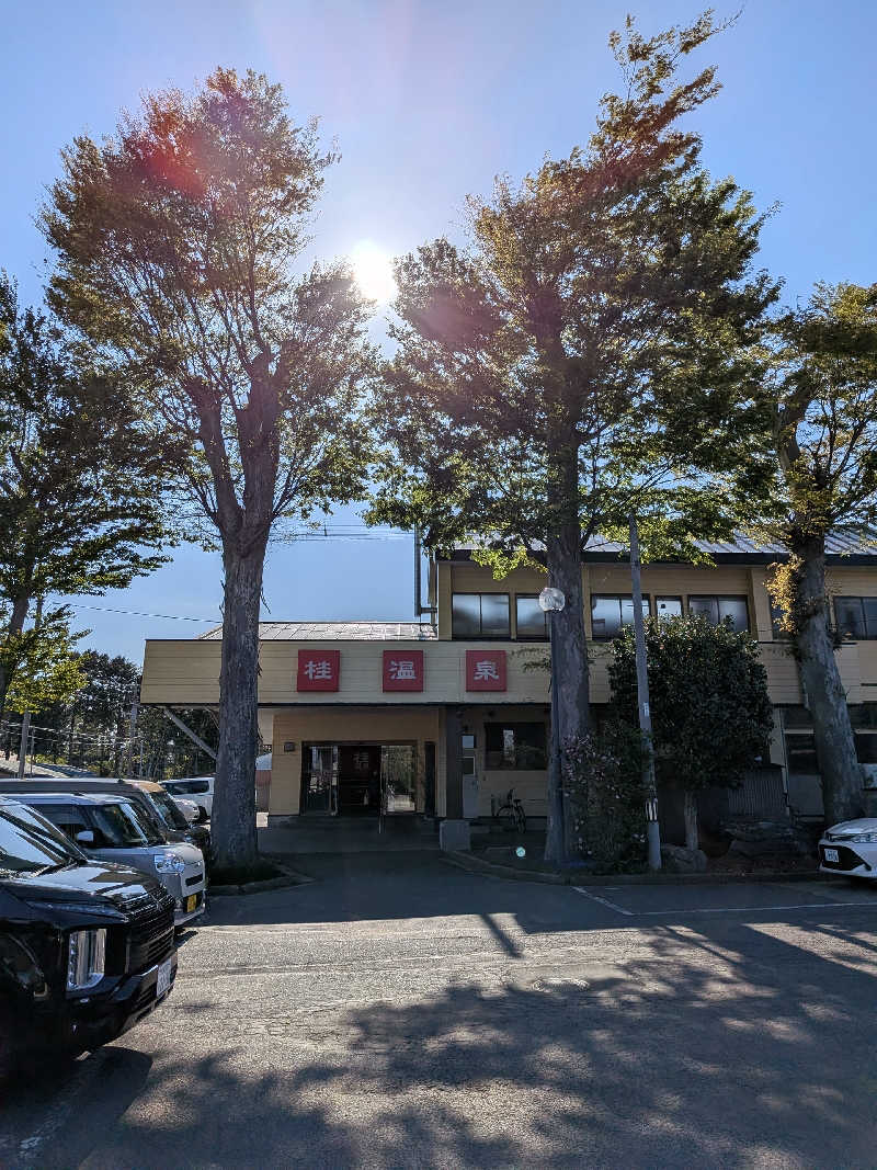 akkoさんの桂温泉のサ活写真