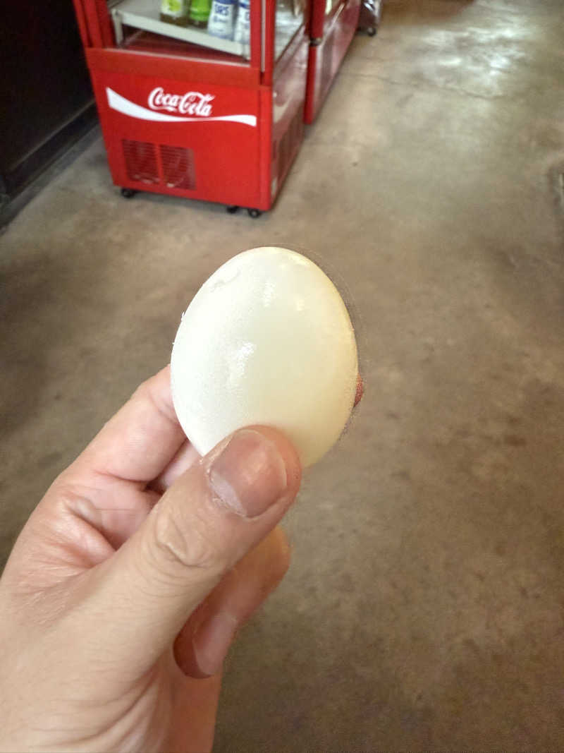 蒸めがねさんのおさるの湯のサ活写真