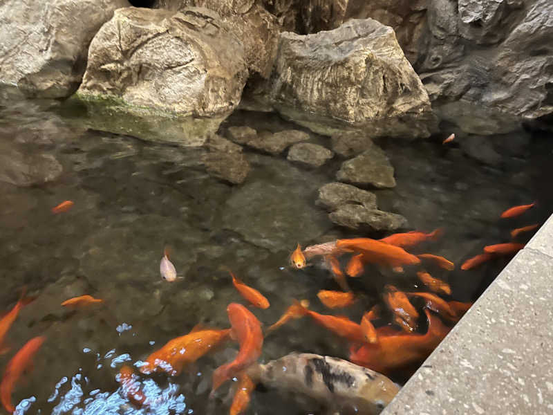 さうなソロキャンプさんの小樽朝里川温泉 おたる宏楽園のサ活写真